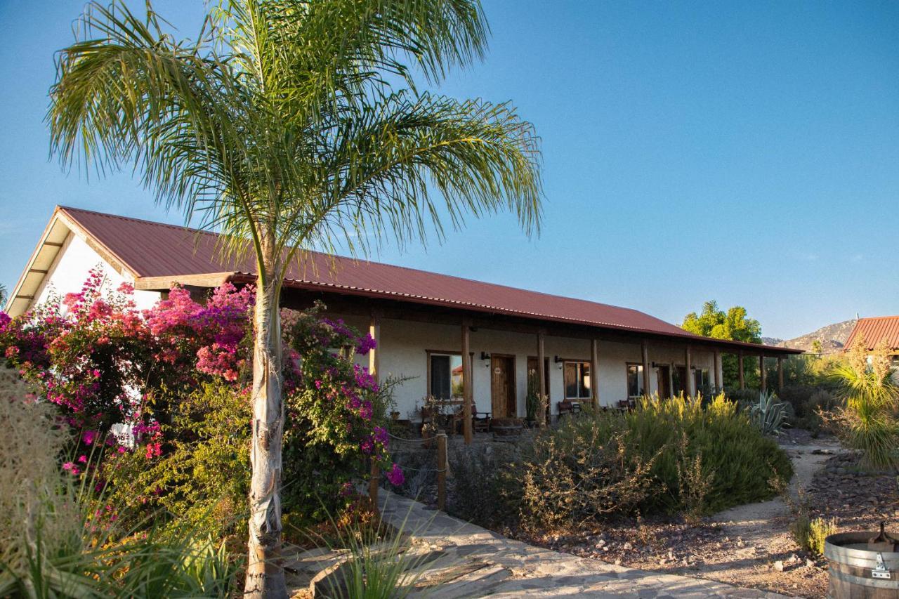 Terra Del Valle Bed & Breakfast Valle de Guadalupe Buitenkant foto