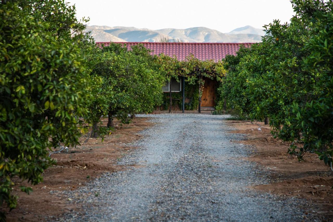 Terra Del Valle Bed & Breakfast Valle de Guadalupe Buitenkant foto