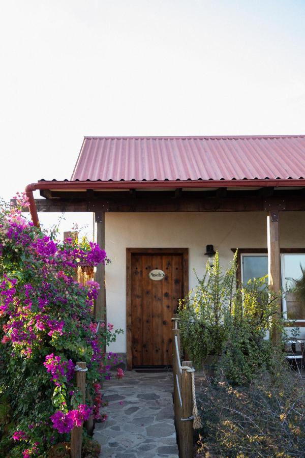 Terra Del Valle Bed & Breakfast Valle de Guadalupe Buitenkant foto